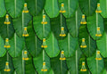 Banana Leaf Curtain Backdrop for Pooja, Housewarming & Wedding Decoration